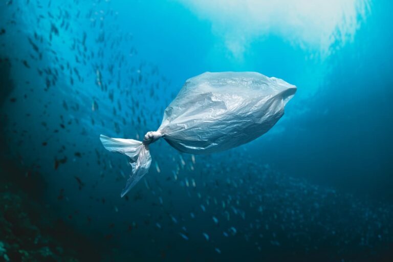 bolsas-biodegradables-que-se-disuelven-en-agua