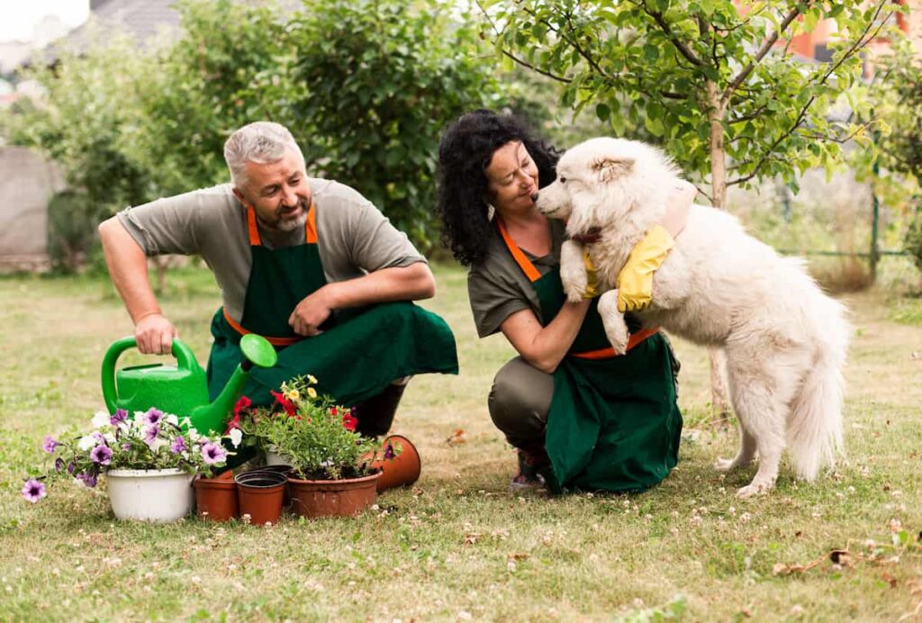 Productos_biodegradables_para_mascotas_y_jardín