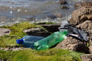 cuanto-tarda-en-degradarse-el-plastico-en-el-medio-ambiente